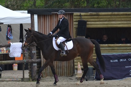 cso 17-11-13_02