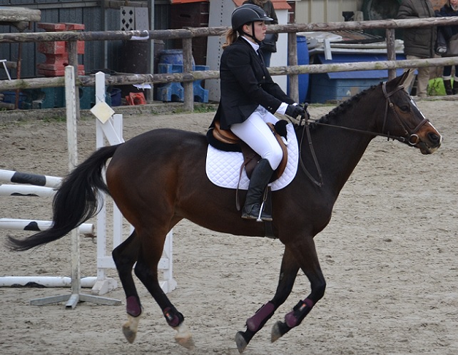 cso 17-11-13_03